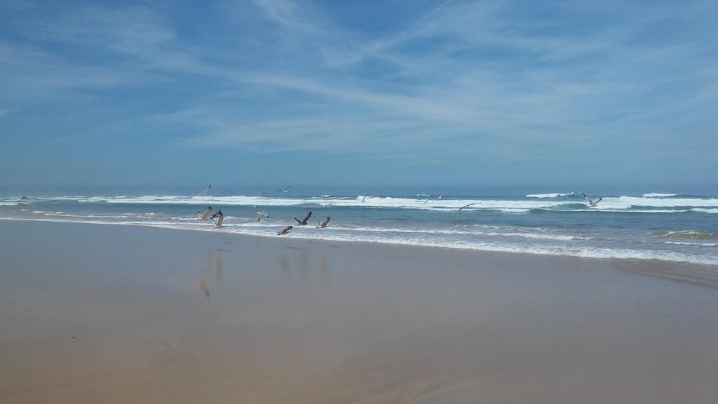 Apartamentos Bau-Doce Cercal do Alentejo Номер фото
